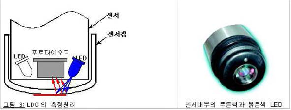 즉정원리 도