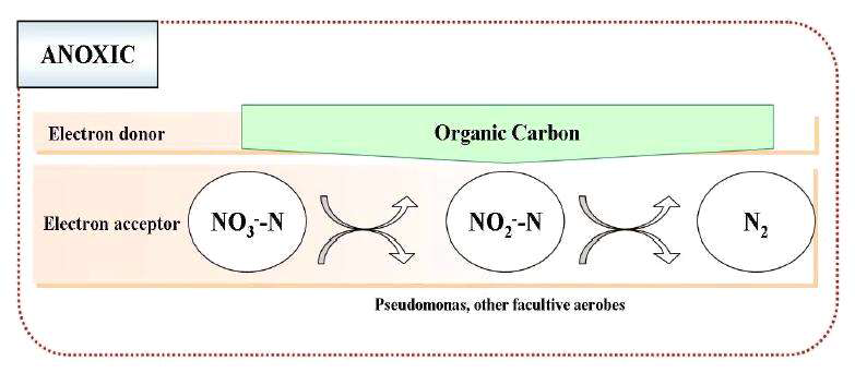 종속영양 탈질 반응을 위한 전자 공여체과 수용체