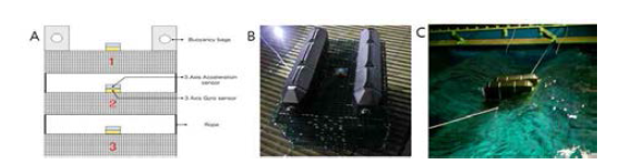 Location of 3 axis sensor(A), Settle on sensor of cage, experiment running image(B, C)