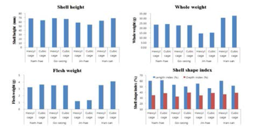 Monthly variation of shell height, whole weight, flesh weight and shell shape index between local and cage