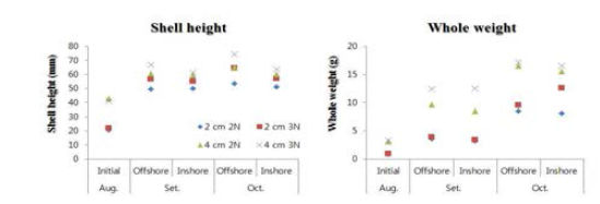 Comparison of cultchless oyster growth performance by polyploid and shell height
