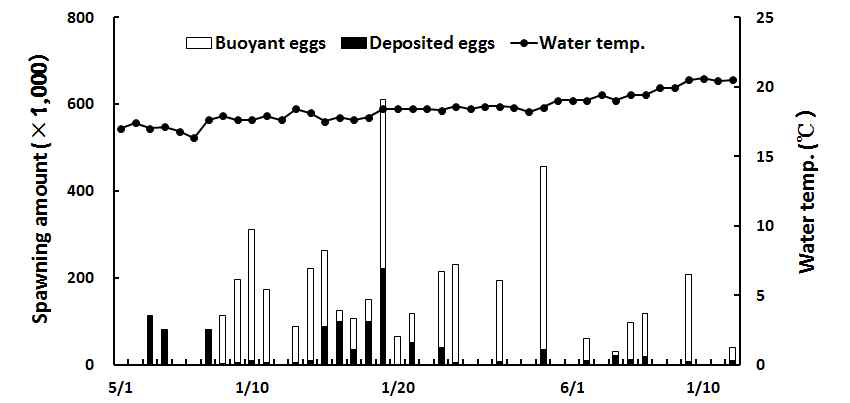 Spawn frequency and egg production of captivereared yellowtail kingfish (S. lalandi) broodstock in an indoor culture tank from May to June, 2014.