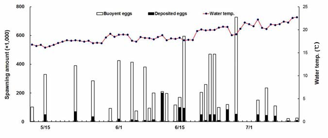 Spawn frequency and egg production of captivereared yellowtail kingfish(S. lalandi) broodstock in an indoor culture tank from May to July, 2015.