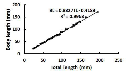 Relation between body length against total length during 80 days post-hatch of yellowtail kingfish (S. lalandi) larvae.
