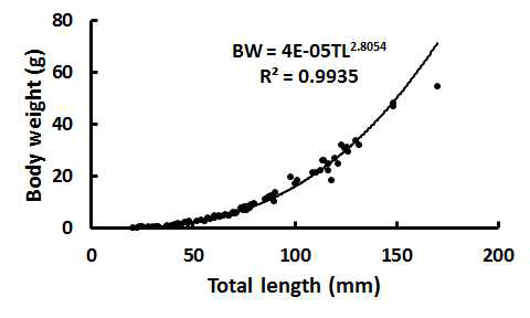 Relation between body weight against total length during 80 days post-hatch of yellowtail kingfish (S. lalandi) larvae.
