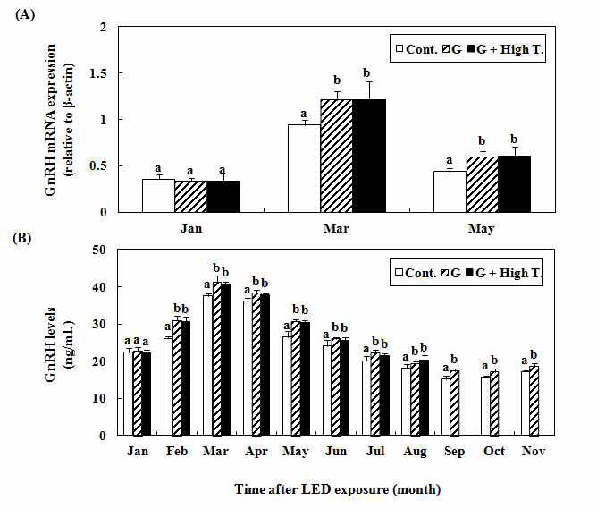 Expression and activity of GnRH in the brain and plasma of yellowtail exposed to green light-emitting diodes (G), green LED + high-water temperature (G + High T.) and white fluorescent bulb (Cont.).