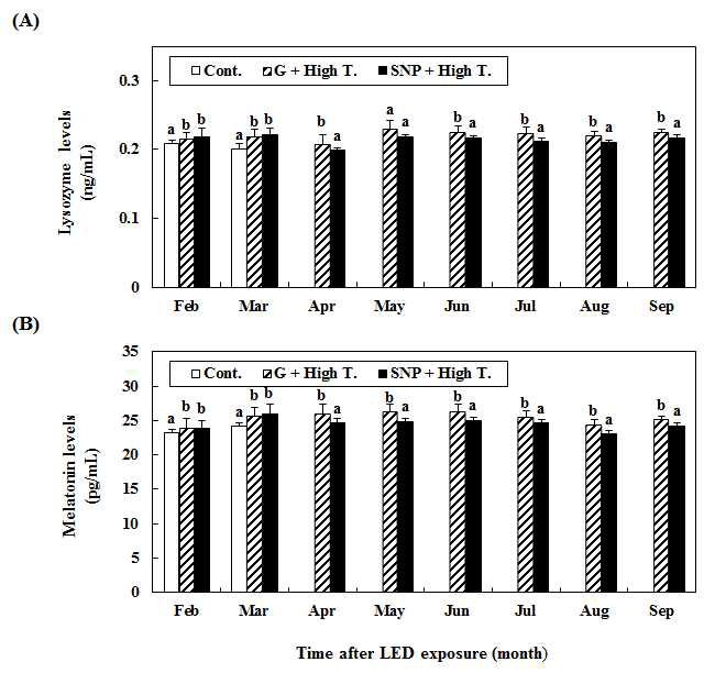 Levels of plasma lysozyme (A), melatonin (B) of yellowtail exposed to green (G) light-emitting diodes (LEDs), green LED + high-water temperature (G + High T.), white fluorescent bulb (SNP) + high-water temperature (SNP + High T.) and natural light (Cont.).