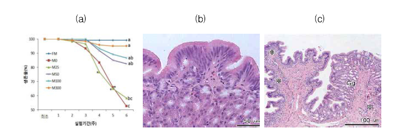 (a) Suvival of flounder in the different diets (b, c) Stomach in flounder: (b) Methionine 300% (c) Methionine 60% diets groups
