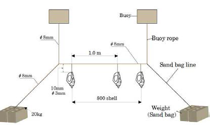 Schematic diagram of webfoot octopus pot for modeling.