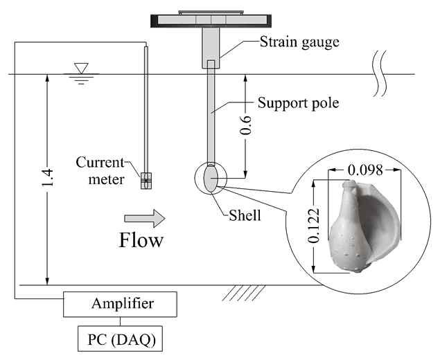 Schematic of shell and apparatus for drag measurement of shell (unit : m).