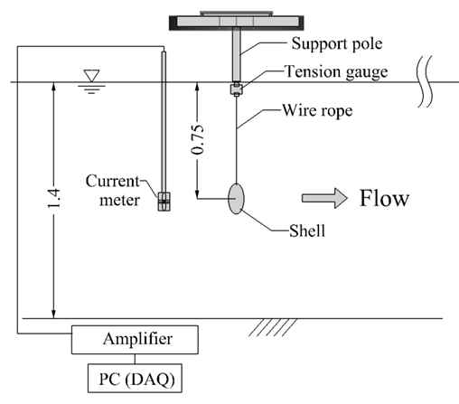 Experimental setup to verify accuracy of shell model.