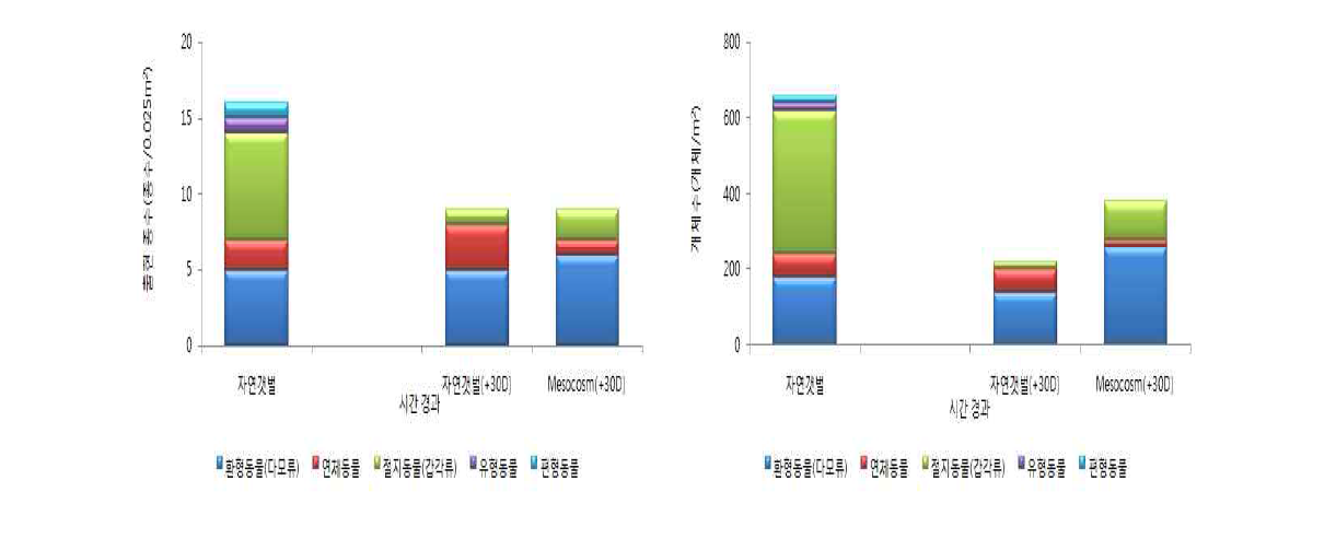 Temporal variations in species number and abundance of macro benthos in natural mudflat and mesocosm