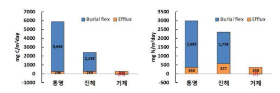 Mass balance of carbon and nitrogen between water and sediment in oyster culturing ground.