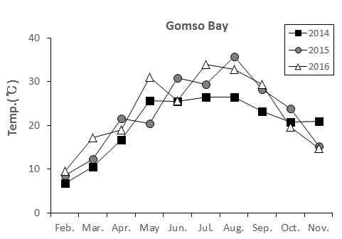 Monthly change of temperature at the Gomso bay