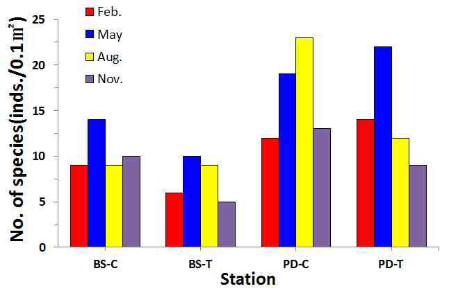 Species number of macrobenthic in Geunso bay