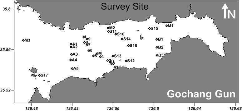 Gomso Bay survey sites