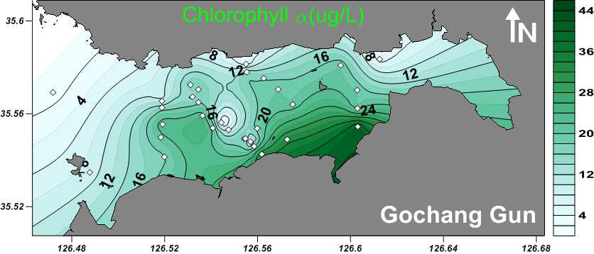 Chlorophyll α distribution in Gomso Bay