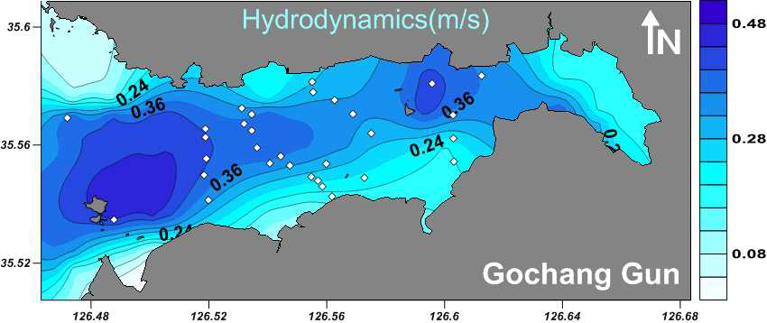 Hydrodynamics distribution in Gomso Bay
