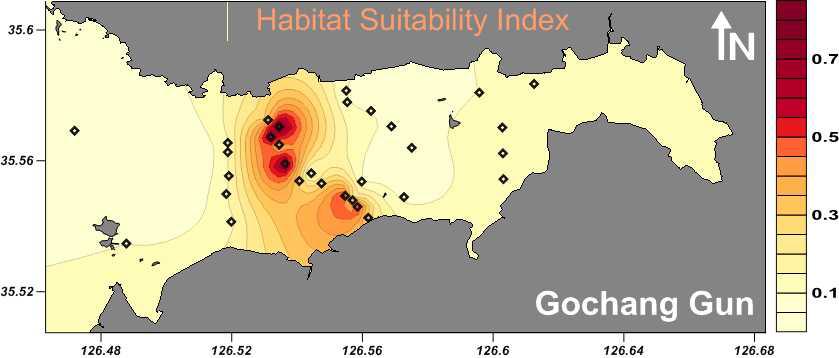 HSI distribution in Gomso Bay