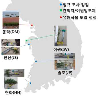 Monitoring sites of halophytes