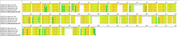 trnL-trnF cpDNA DNA sequencing for 3 Suaeda species