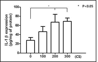 ELISA (IL-1β)