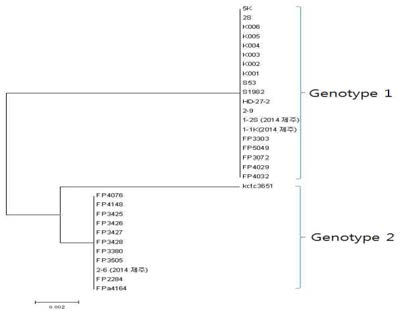 Phylogenetic tree of cpsD of genome sequenced S. parauberis