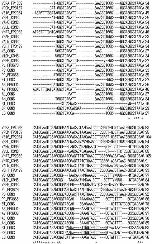Comparative analysis of 16s rDNA sequences of target strains and non-target strains