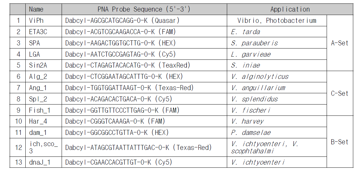 PNA oligomer sequence