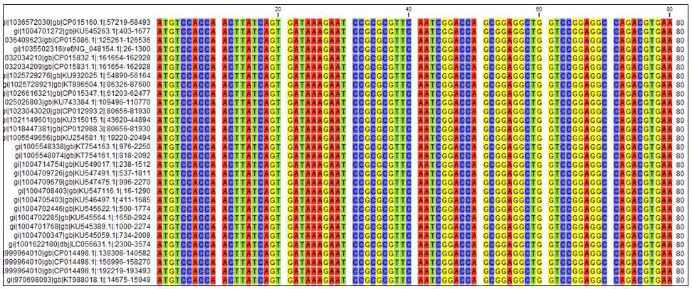 Analysis of alignment using tetA gene sequence