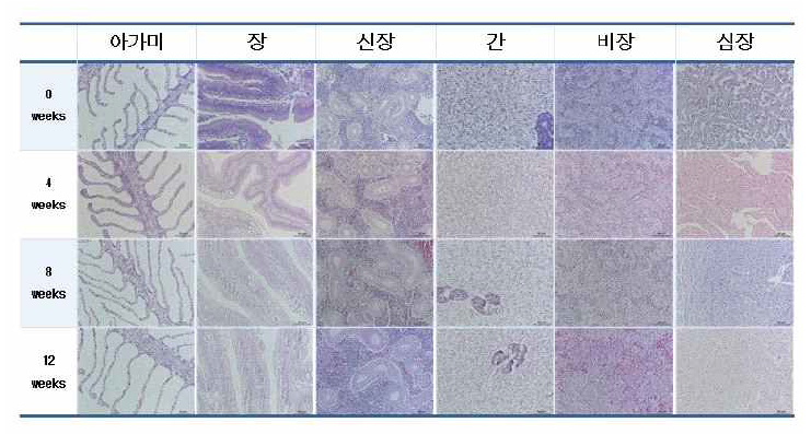 Pathohistological changes of olive flounder natural products diets for 3 months.