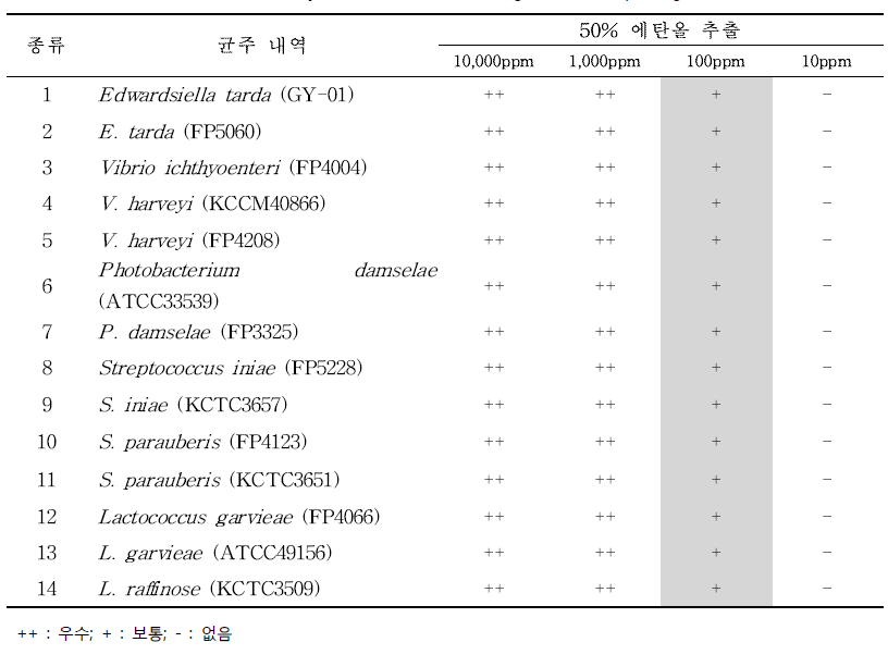 Antimicrobial activity of herb(A) extract against fish pathogenic bacteria 10 활발 활발 활발 활발 활발 활발