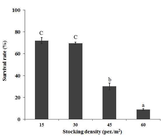 Survival rate of 2-year abalone per density in floating cage(2014).(흑백)