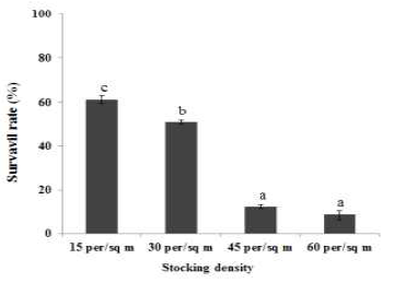 Survival rate of 3-year abalone per density in floating cage(2014).(흑백)