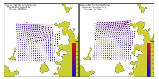 Distribution of maximum flood(left) and ebb(right) tidal current in Nohwa-eup mirari.(흑백)