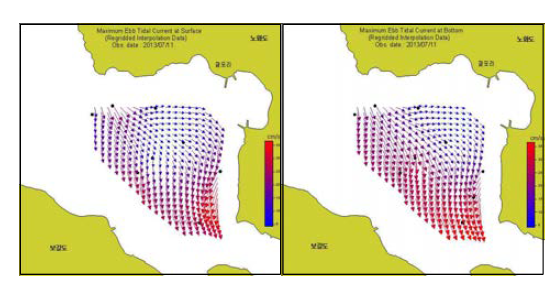 Distribution of maximum ebb tidal current at surface(left) and bottom(right) in Nohwa-eup jalpori.(흑백)