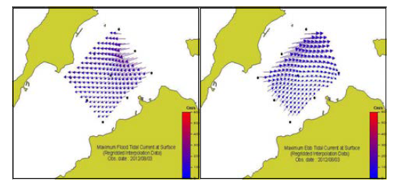 Distribution of maximum flood(left) and ebb(right) tidal current in Bogil-myeon jungdongri.(흑백)