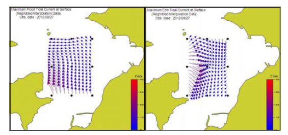 Distribution of maximum flood(left) and ebb(right) tidal current in Soan-myeon gahakri.(흑백)