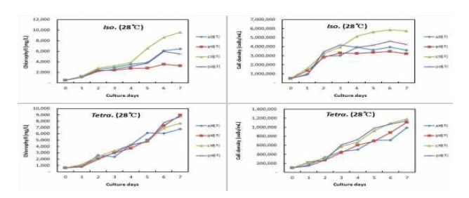 Cell growth and Chlorophyll-a contents of two microalgae species cultured at 28 ℃ with four different culture mediums. (흑백)