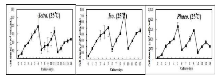 Cell growth of three microalgae species cultured under semi–continuous culture method mixed with CO2.(흑백)
