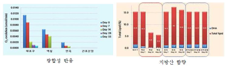 Variation of photosynthetic reaction and fatty acid contents of Isochrysis galbana on the property of concentrated matters after cold storage period.(흑백)