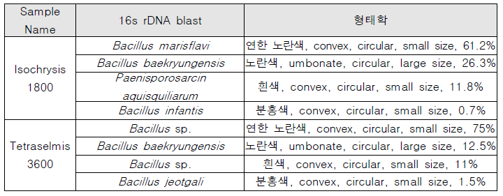 Results of 16s rDNA PCR product prep and sequencing