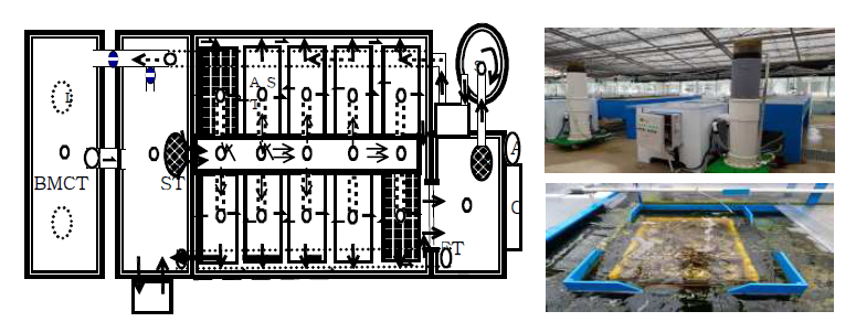 Schematic diagram of the closed recirculation adults conditioning system used in this study.