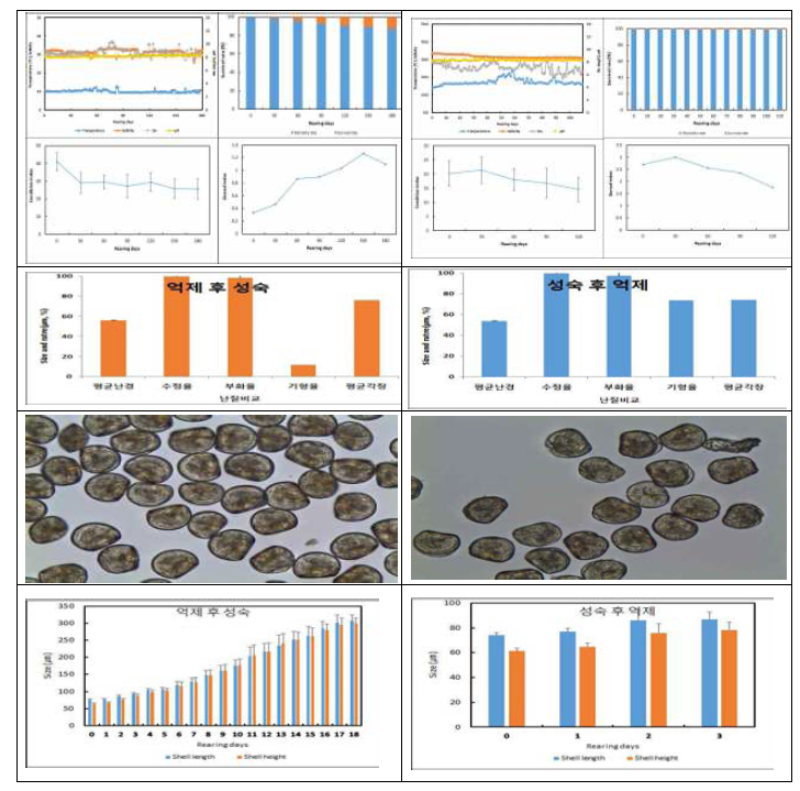Various results of water qualities(water temp. salinity, pH, Do), biological index(CI, GI, survival rate), egg qualities, D shape morphology and growth of larvae size of oyster adults, egg and larvae on the two type of adults management condition. (흑백)