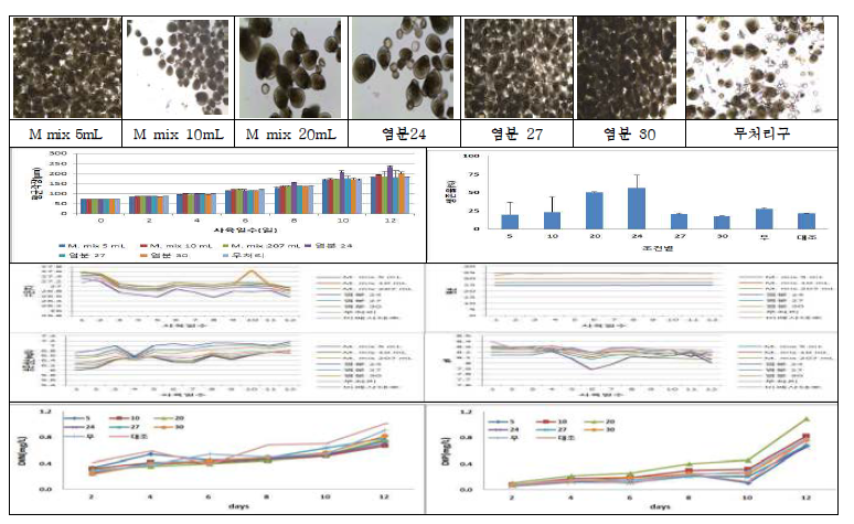 Change of water qualities and culture results of oyster larvae reared at various culture conditions with no water exchange (1st. Exp.). (흑백)