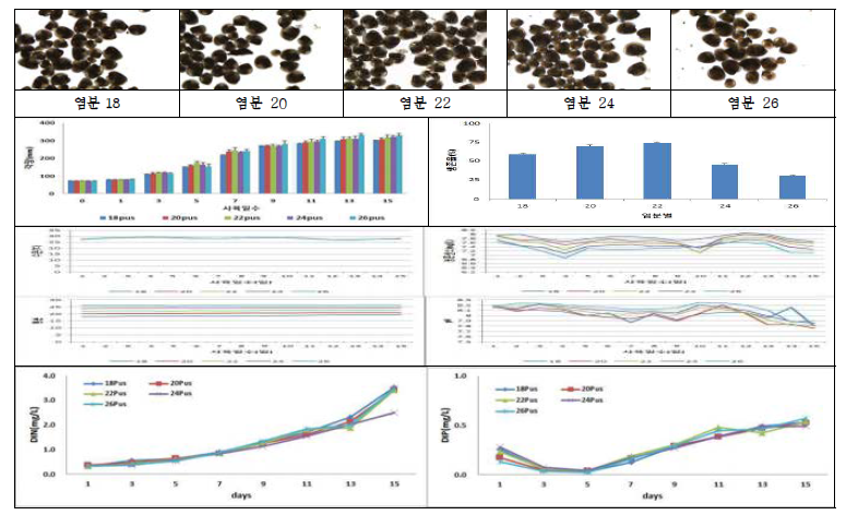 Change of water qualities and culture results of oyster larvae reared at various culture conditions with no water exchange (2nd. Exp.). (흑백)