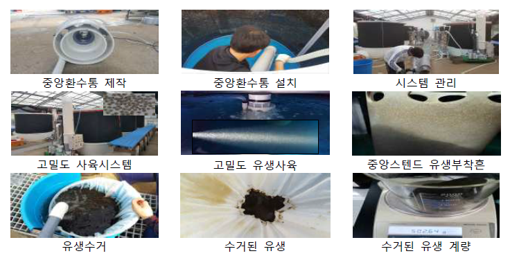 Figure of running high density recirculation oyster larvae culture system.(흑백)