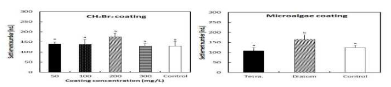 Number of settlement of oyster spats coated with the microalgea species and CH2Br2