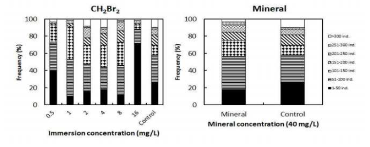 Frequency of number of attachment spats coated with the mineral and CH2Br2.