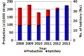 Annual variations of artificial seed production of oyster, Crassostrea gigas and a number of shellfish hatcheries establishment in Korea. (흑백)